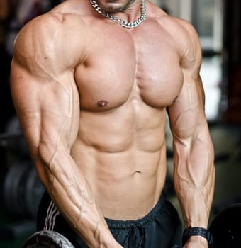 Muscular torso, pecs, abs and arms of male bodybuilder in gym