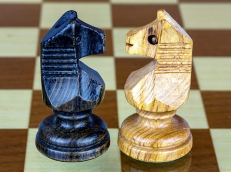 two chess horse faced, white and black