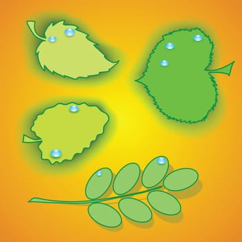 colorful illustration with set of leaves for your design