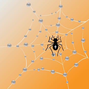 colorful illustration with Spider and web for your design