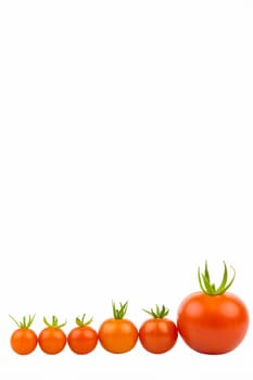 A range of cherry and vine tomatoes