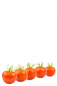 Several tomatoes in an oblique row