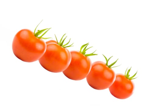 Several tomatoes in an oblique row