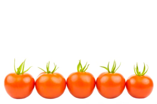 Several tomatoes in a row at the bottom of the picture