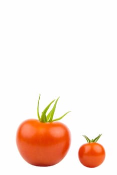 One large and one small tomato,close-up,cropped