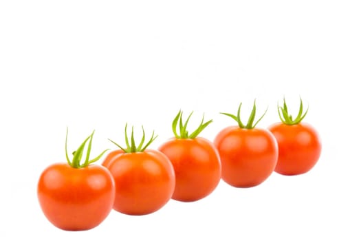 Several tomatoes in an oblique row