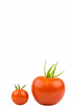 One large and one small tomato,close-up,cropped