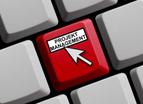 Project management