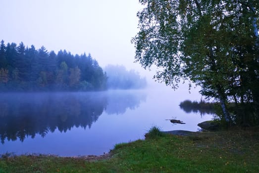 Cool morning at the pond