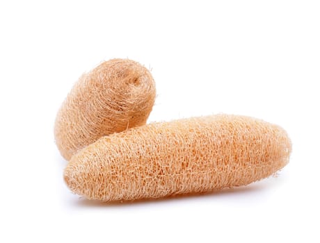 loofah isolated on white background
