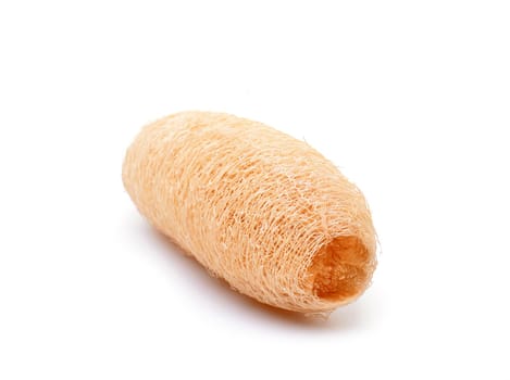 loofah isolated on white background