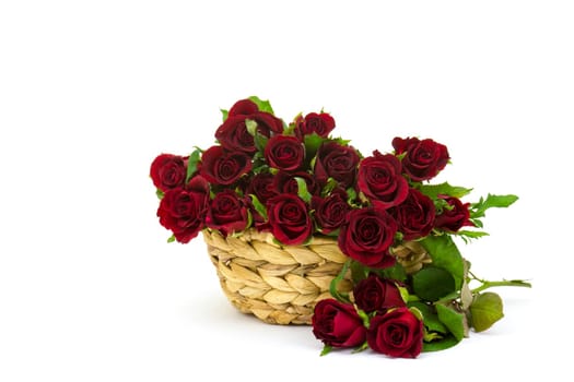 red roses in a basket on white background