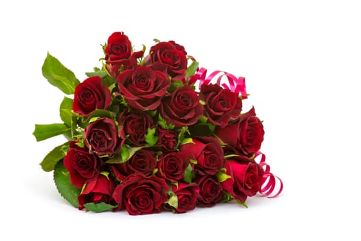 red roses on white background