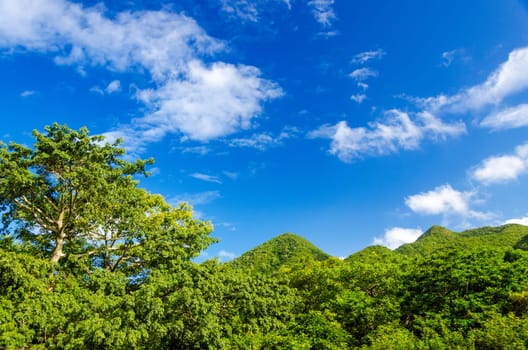 Lush green forest covered hills in San Andres y Providencia in Colombia