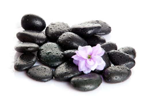 Spa Stone. Zen pebbles. Stone spa and healthcare