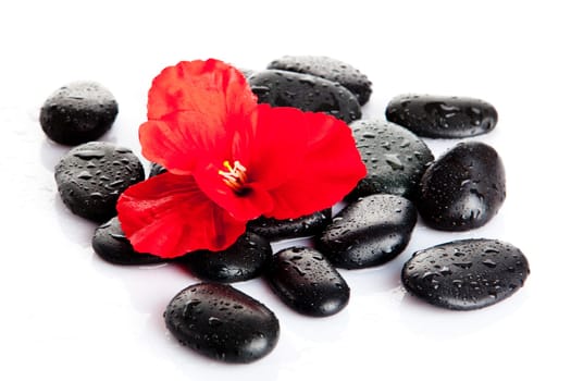 Spa Stone. Zen pebbles. Stone spa and healthcare
