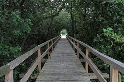 Bohlenweg druchs Moor