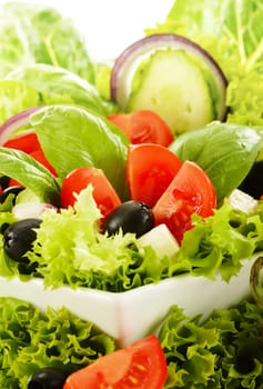 Vegetable salad bowl isolated on white
