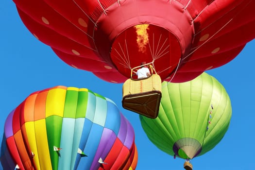 hot air balloons