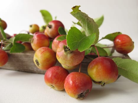 Autumn decoration with ornamental apples