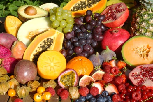 Tropical fruits