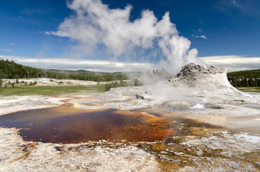 geyser in Yellowstone National Park