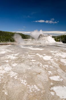 geyser in Yellowstone National Park
