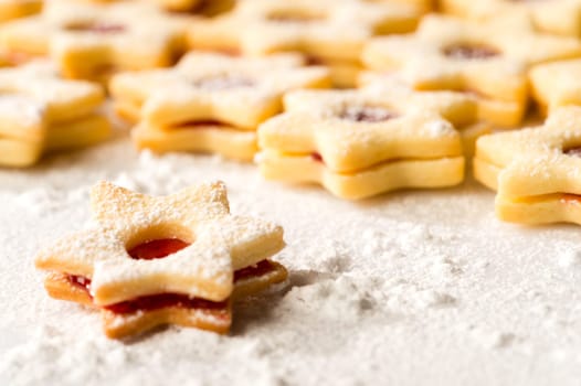 Christmas cookie stars fresh baked gingerbread powdered sugar