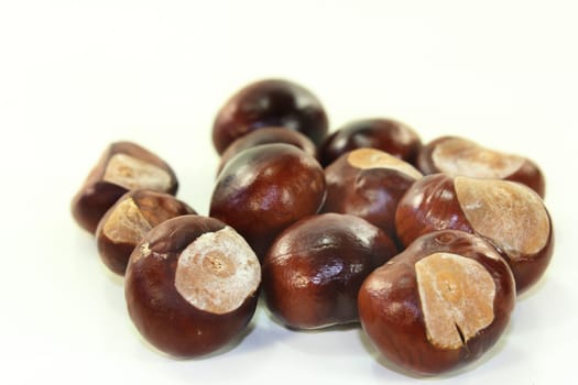freshly collected chestnuts against a white background