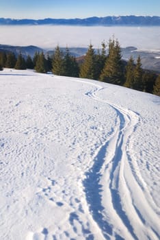 The large flat snow area in the mountains with ski track in free snow