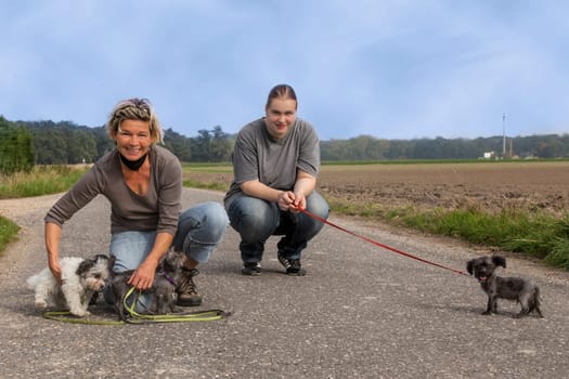Dog training
