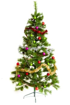 christmas tree isolated.