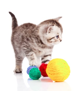 kitten with balls of threads. little kitten on white background.
