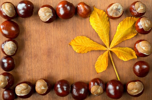 chestnuts with leaf