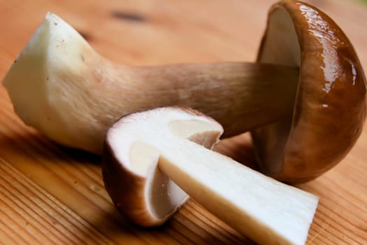 Boletuses