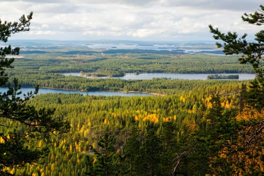 Nice view over forest and lakes from mountain
