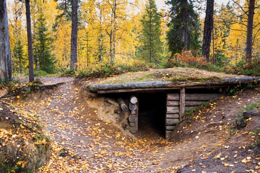 Autumn forest trees and hided from ohers shelter