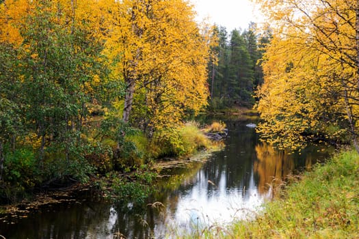 Autumn forest trees and river at cloudy day