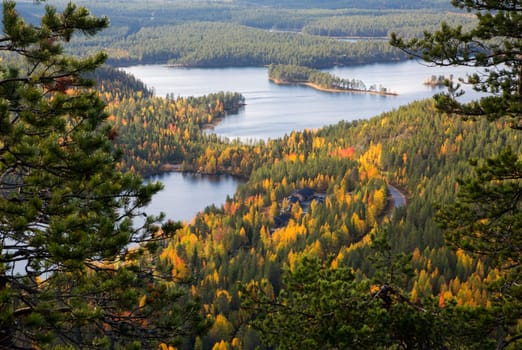 Cottage hided in forest between lake and road