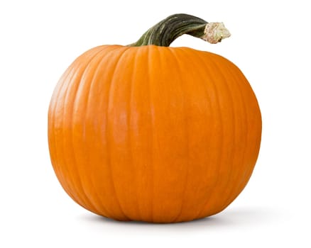 pumpkin over white background