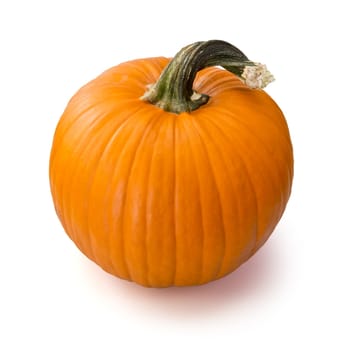 pumpkin over white background