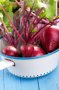 beetroot in the sieve