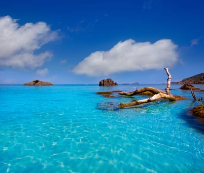 Ibiza Aigues Blanques Aguas Blancas Beach at Santa Eulalia Balearic Islands of spain