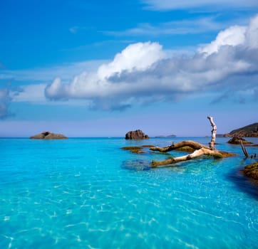 Ibiza Aigues Blanques Aguas Blancas Beach at Santa Eulalia Balearic Islands of spain