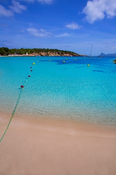 Ibiza Cala Bassa beach with turquoise Mediterranean sea at Balearic Islands