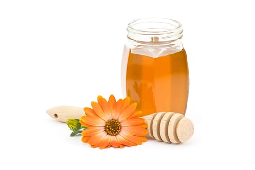 honey and flower on white background