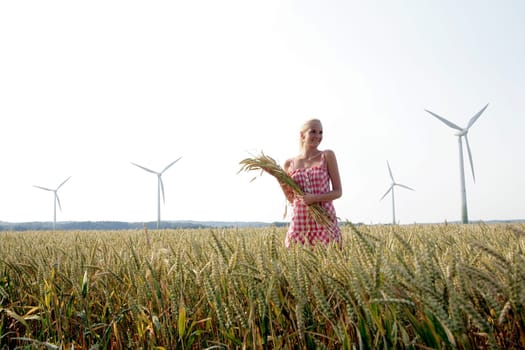 Young blonde woman in a checkered summer dress stands in a cornfield. In her hands she holds a bundle of grain. Behind her are some wind turbines