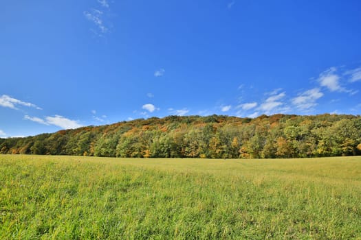 Landscape in autumn,colorful forest shot with HDR