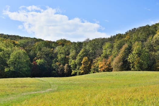 Landscape in autumn,colorful forest shot with HDR