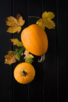 Pumpkin with leaves on dark wooden background
